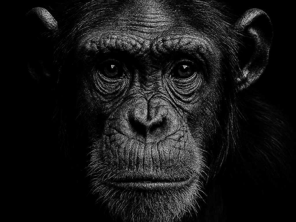 Hueforge Chimpanzee
