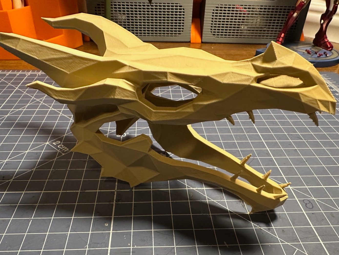 Skyrim Dragon skull