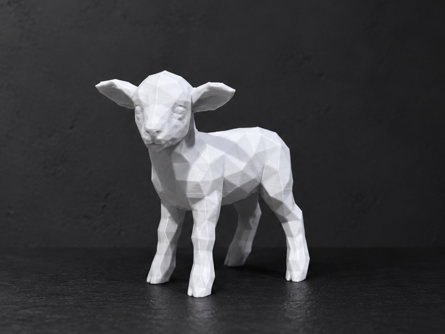 Lamb - Low Poly - Animal