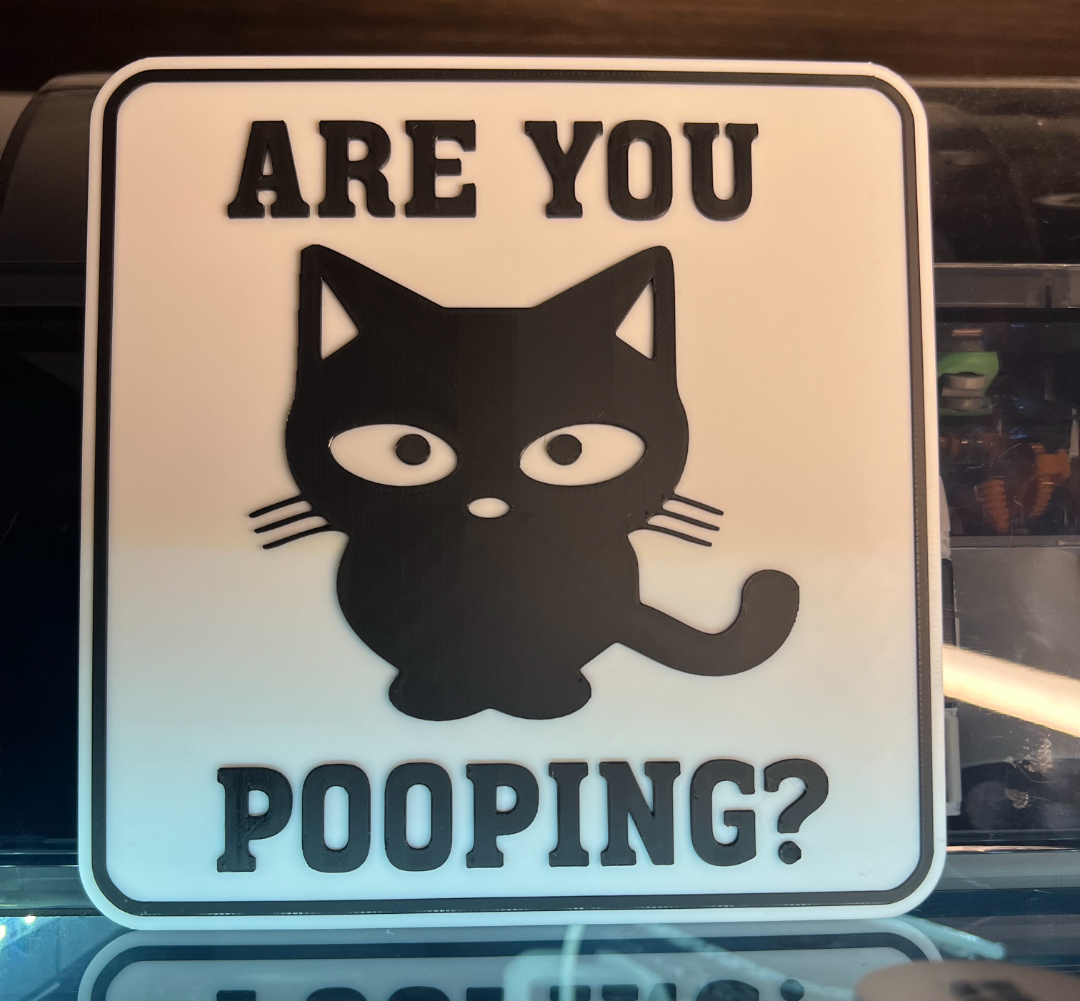 Funny Are you Pooping Cat sign