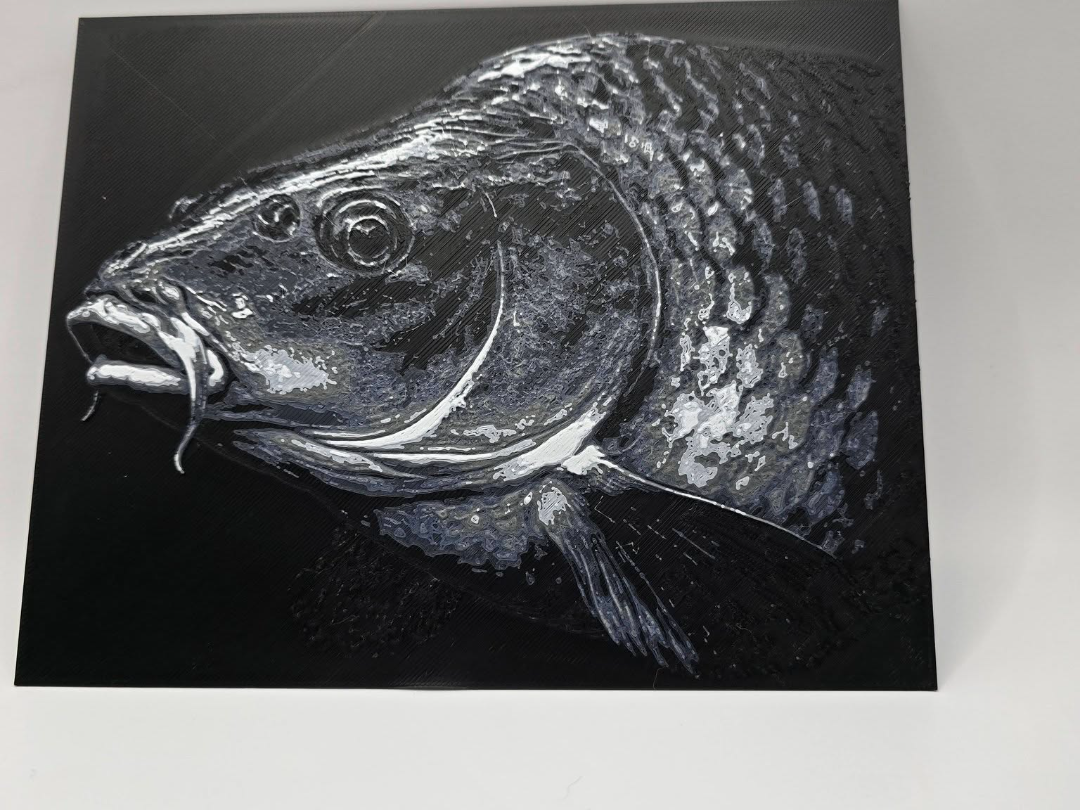 common carp huforge