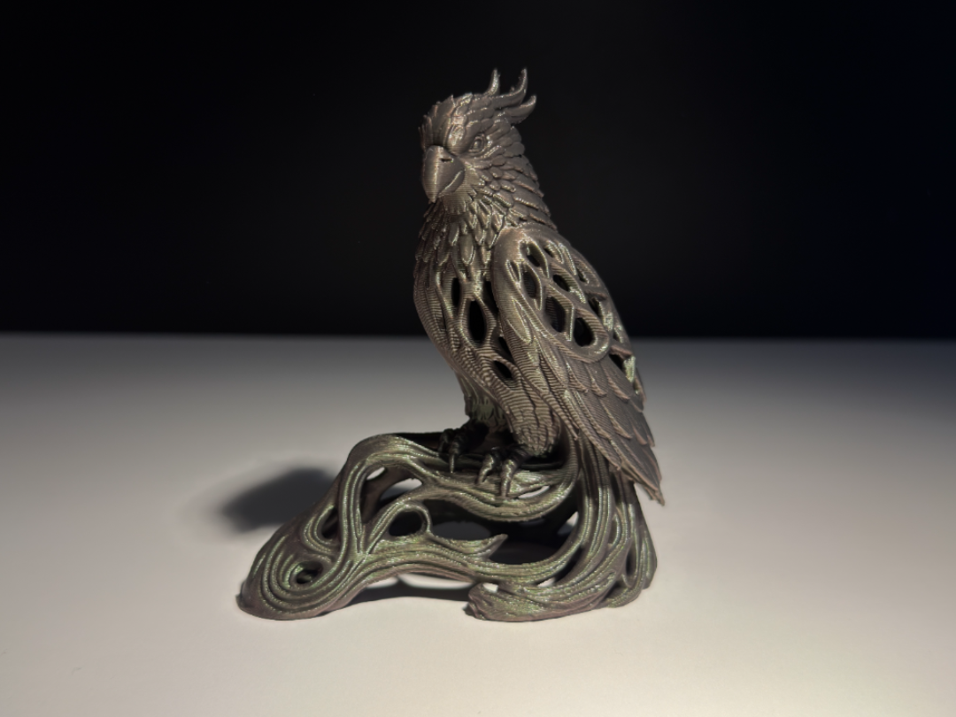 Parrot
