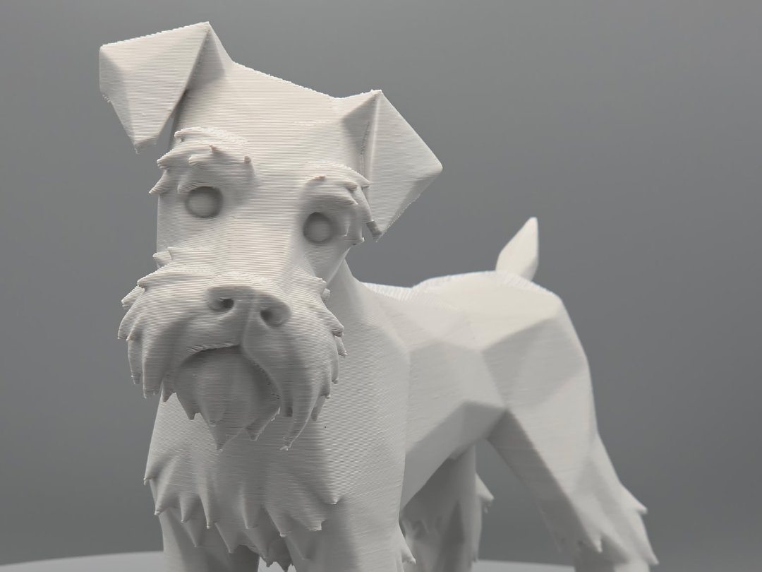 Geometric Schnauzer Pup