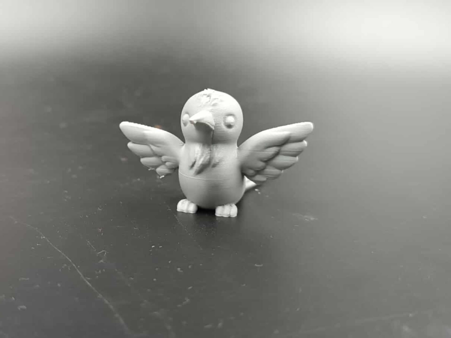 Humming-bird - Fast Print 34 minutes- Toy