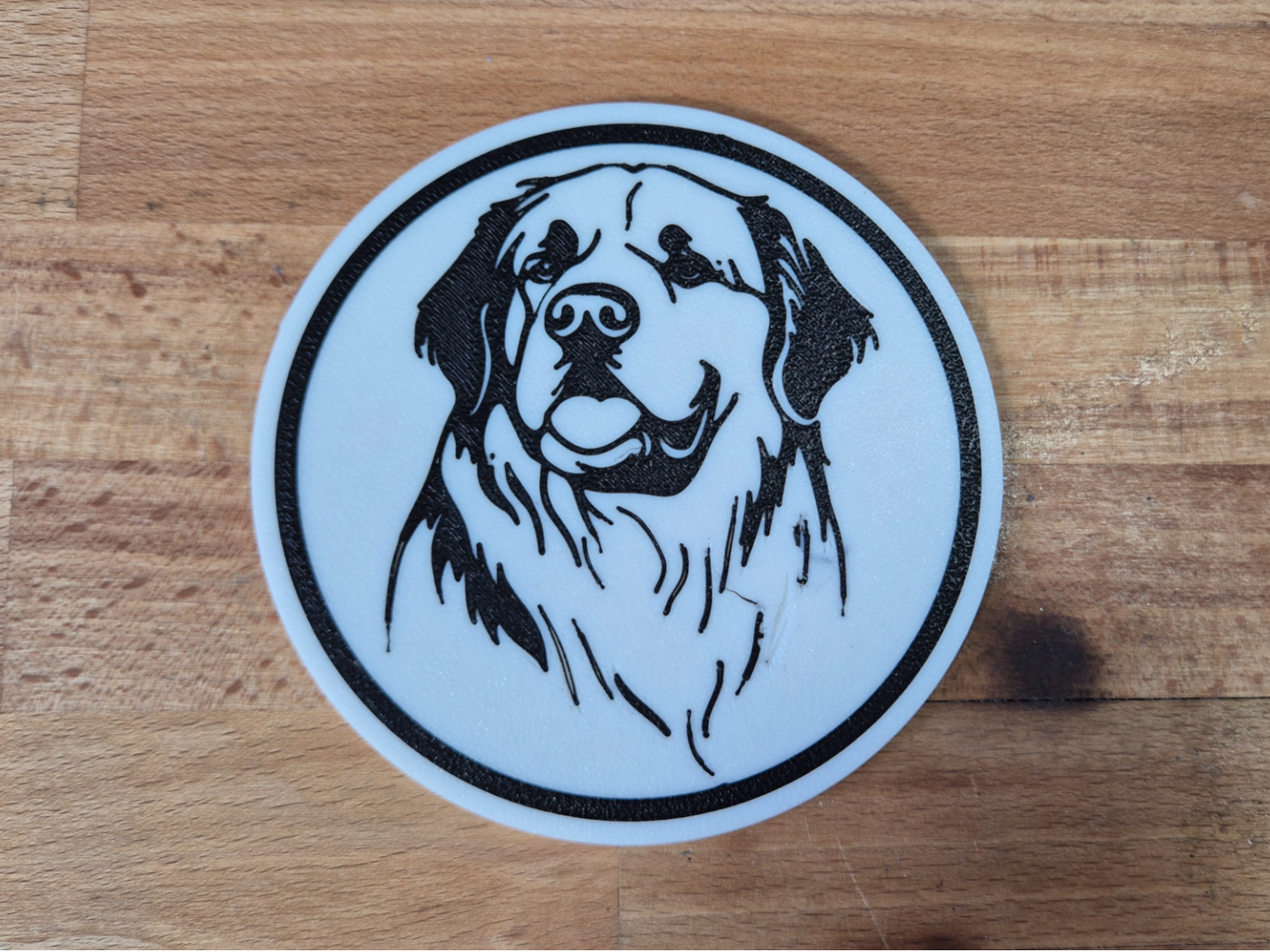 Saint bernard Coaster