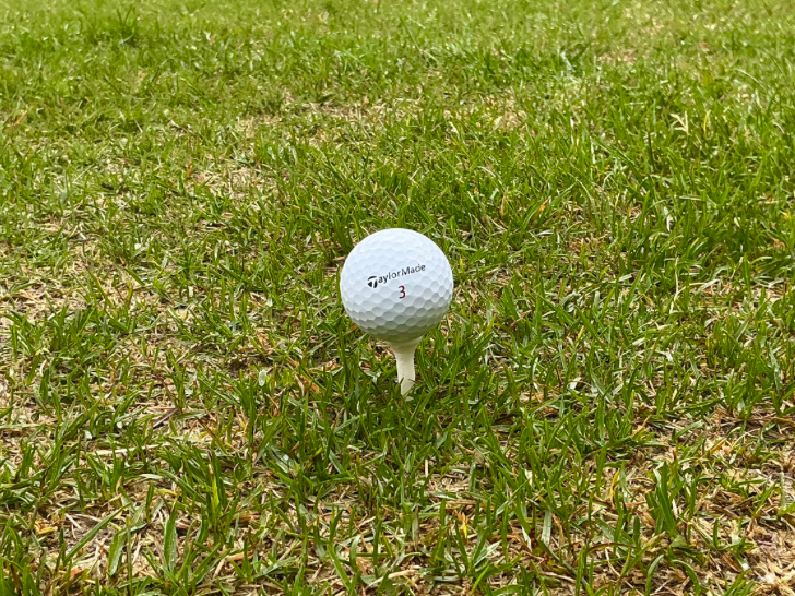 Short Golf Tee