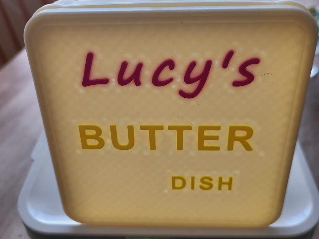 Cover - Tupperware butter dish