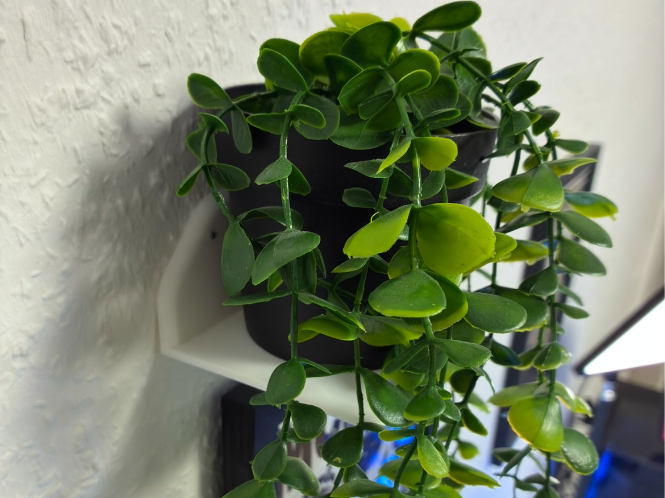 Wallshelf  (no screw needed)