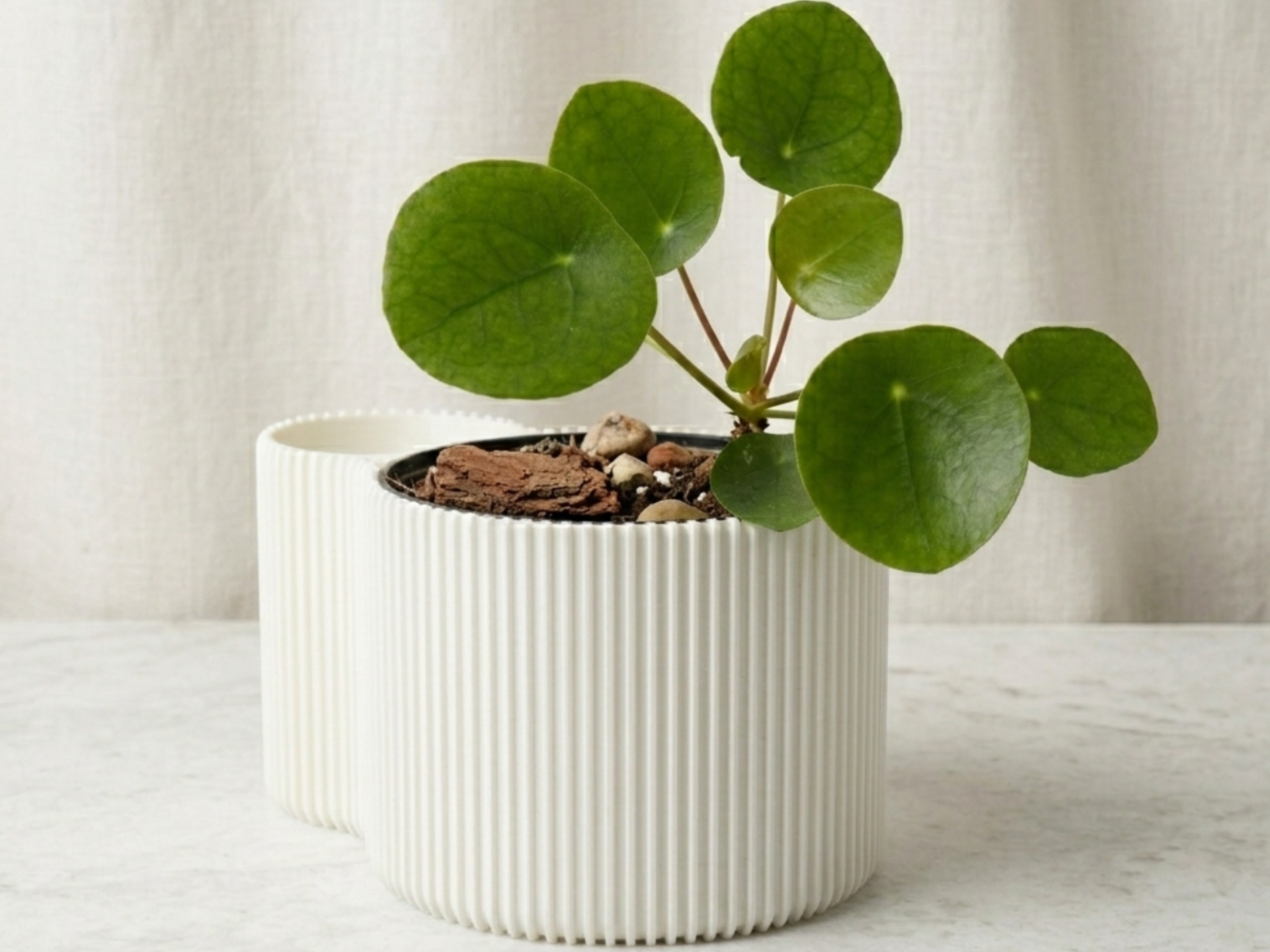 Self-Water Pot