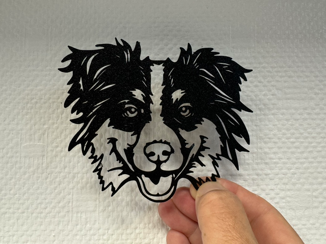 Decor Australian shepherd dog - Berger Australien