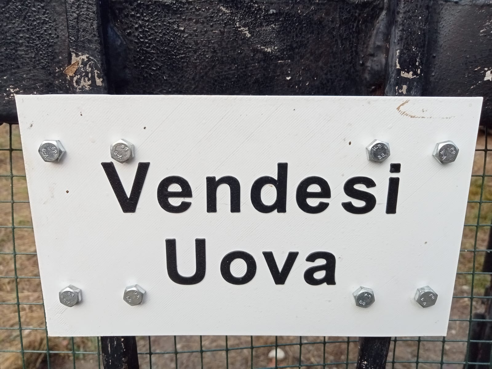 Targa "Vendesi Uova"