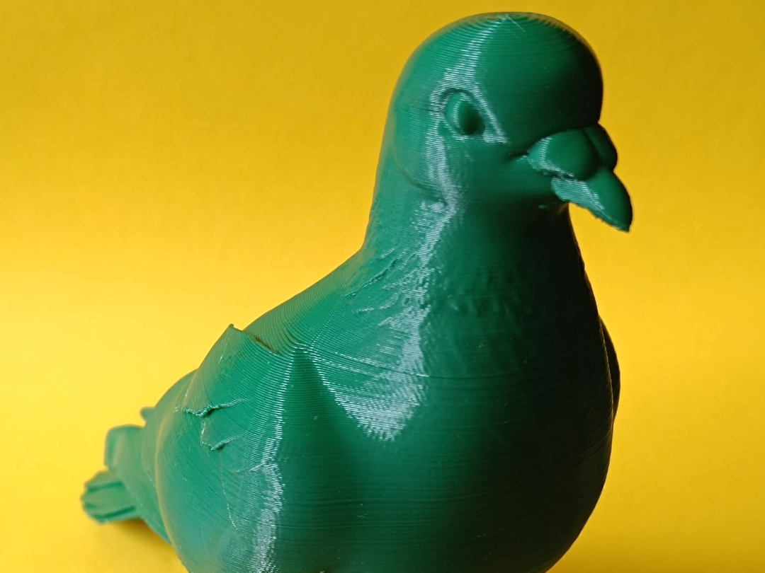Realistic Pigeon urban bird