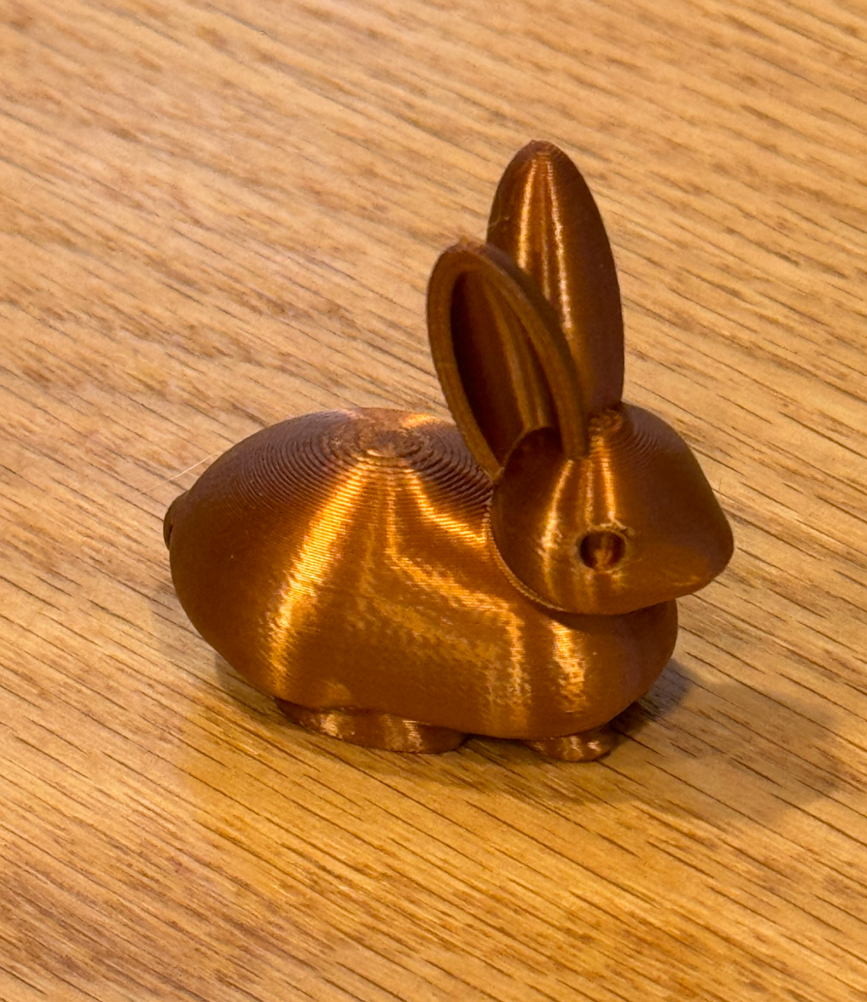 Small Bunny
