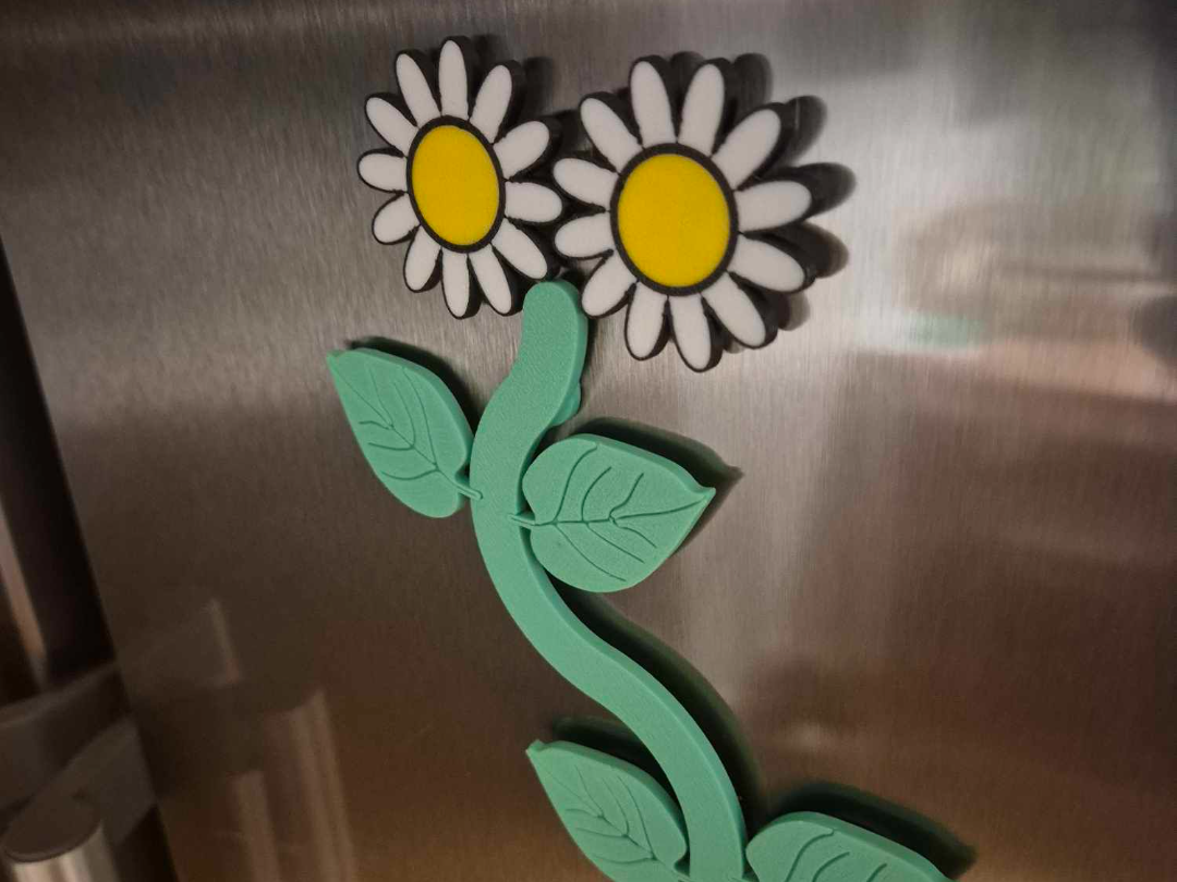 Flower fridge magnets