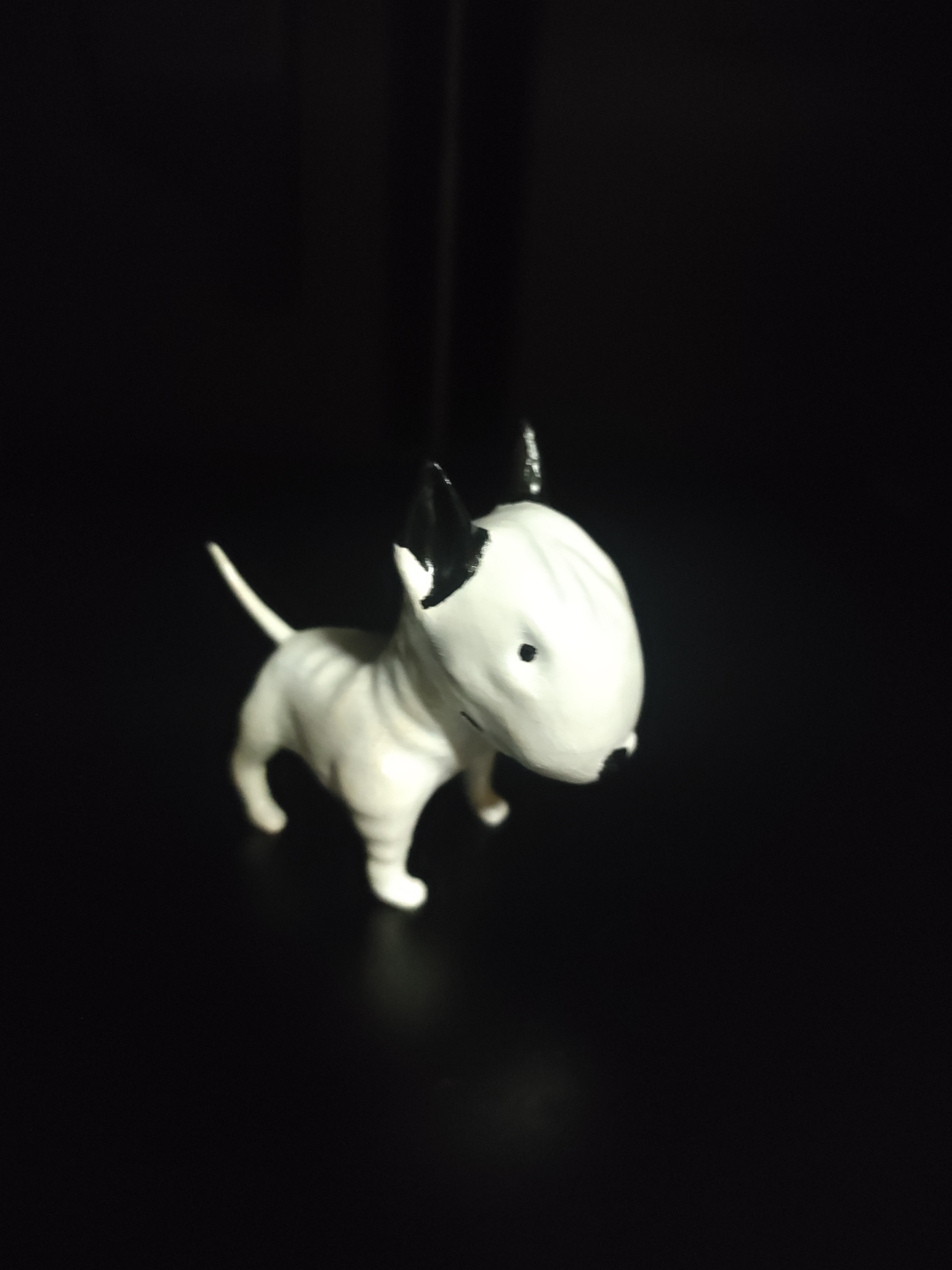 Bullterrier