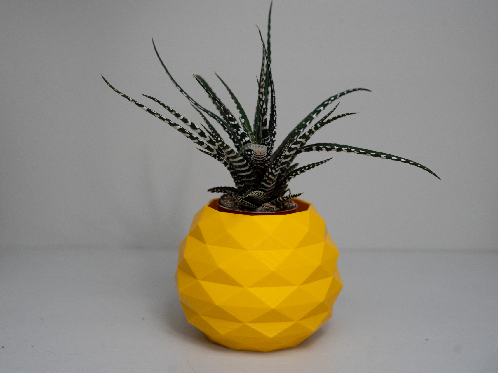 Pineapple Modern Poly Vase