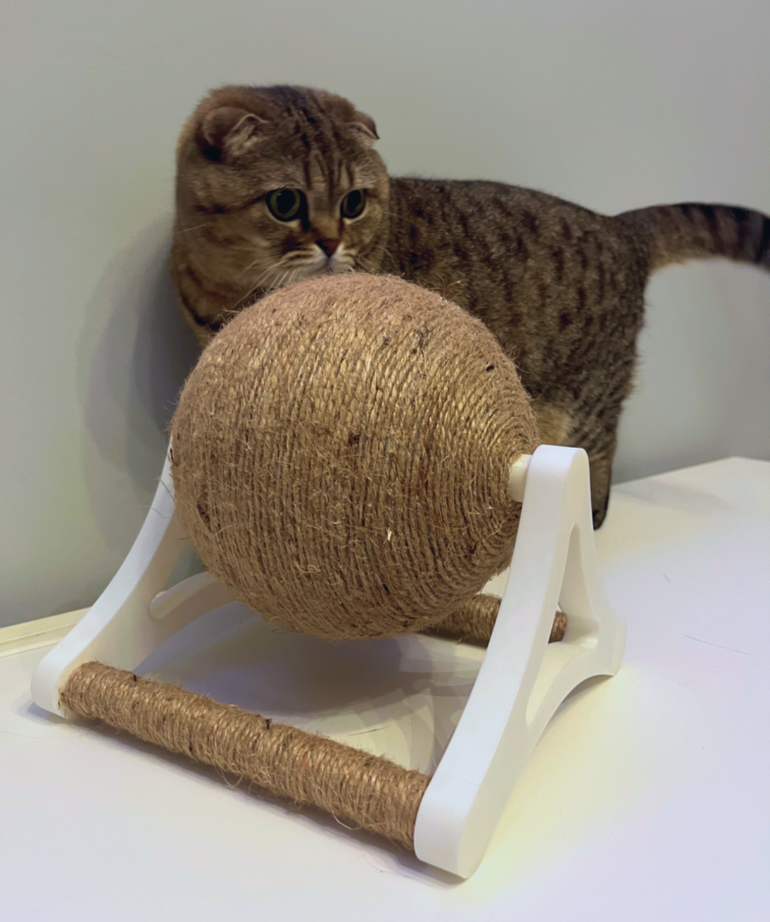 Spin & Scratch Interactive Cat Toy