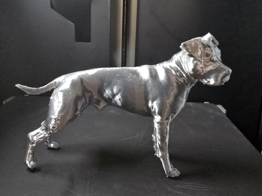 Pitbull dog model