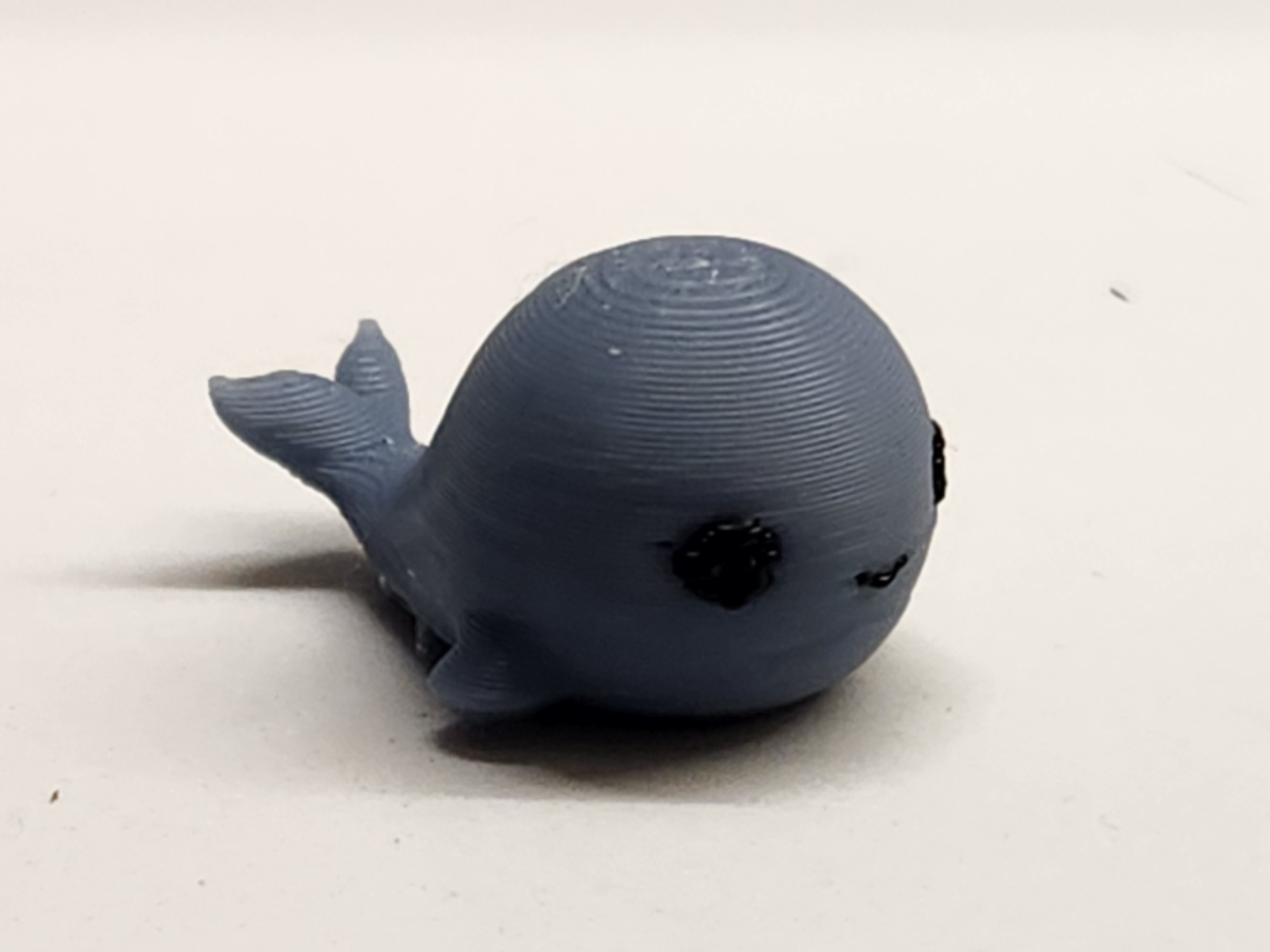 Mini Whale