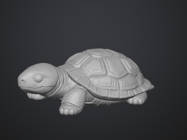 TORTOISE