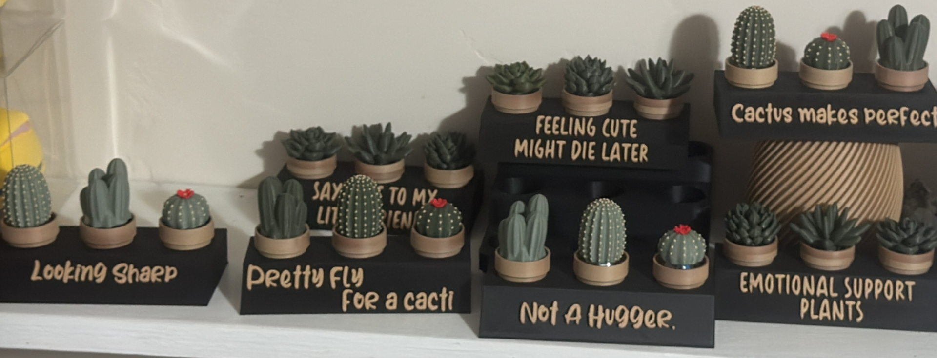 Sassy Plants Pocket Plant Holders