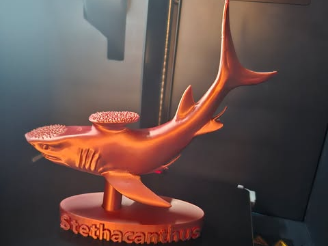 Stethacanthus – Prehistoric