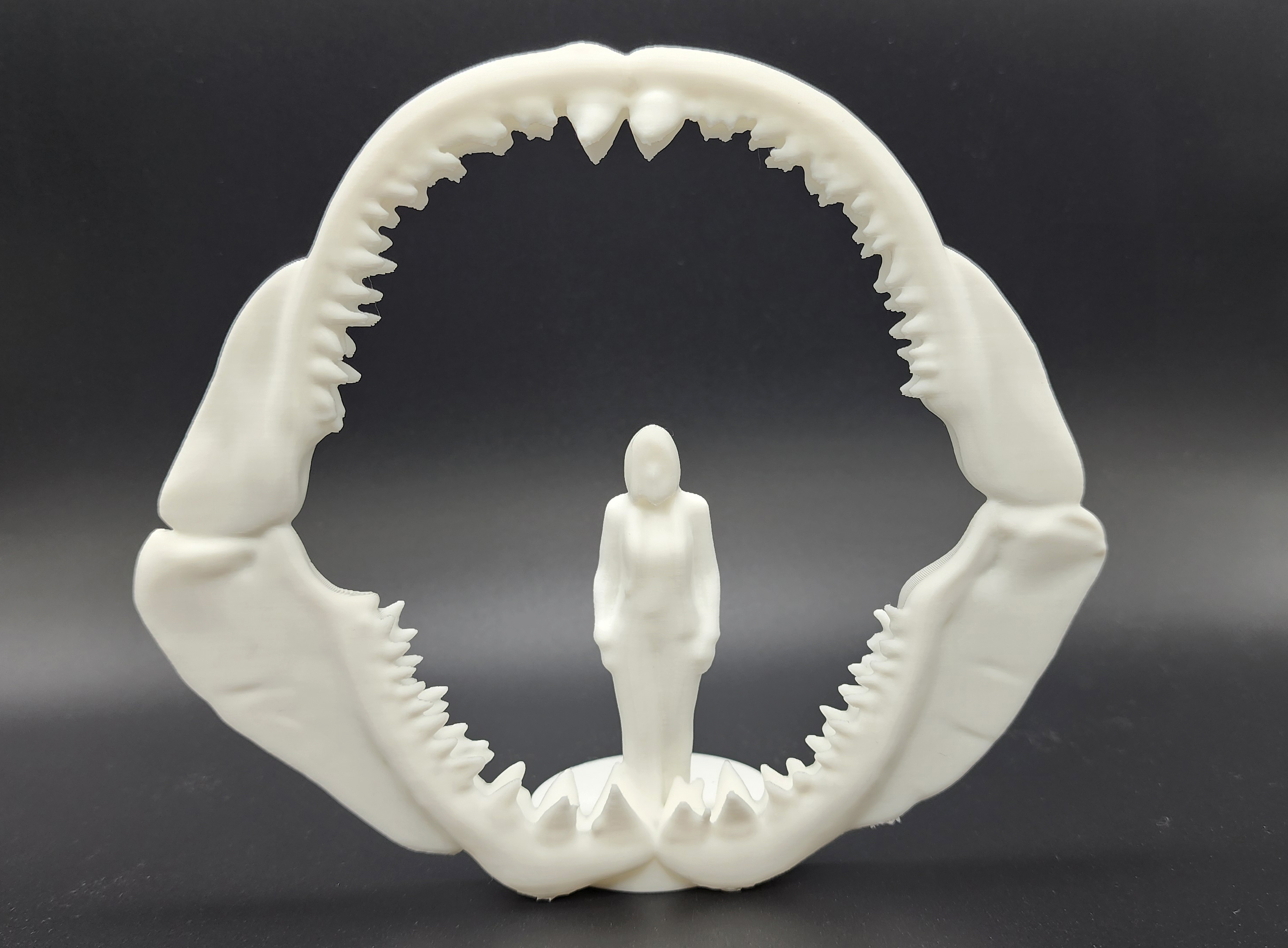 Megalodon Jawbone - Human Scale