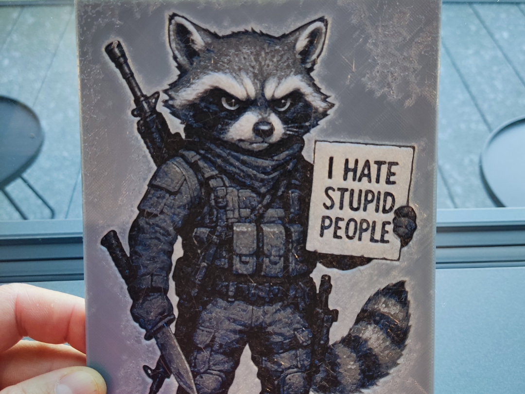 Rebel Racoon hueforge