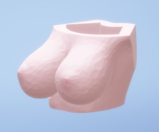Magnificent Tits - Woman torso - item holder - pen holders