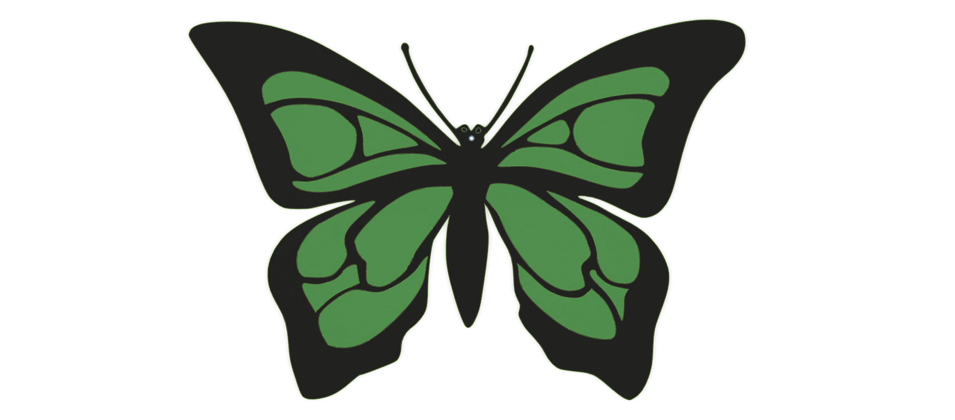 Butterfly 6