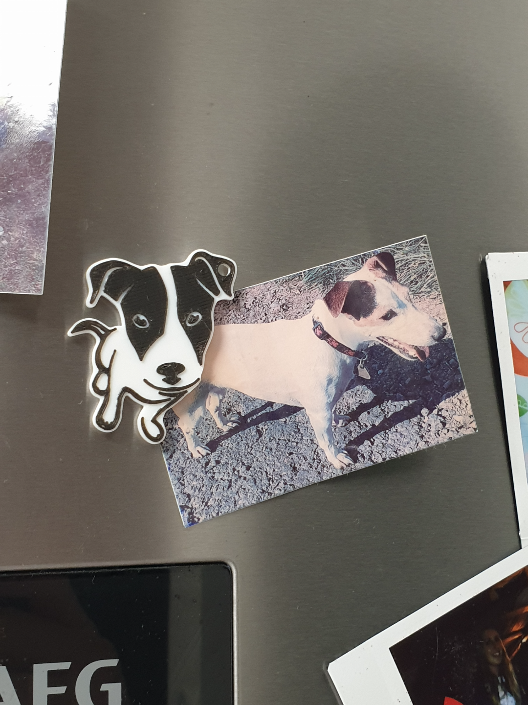 Jack Russell Terrier dog (JRT) keychain, magnet