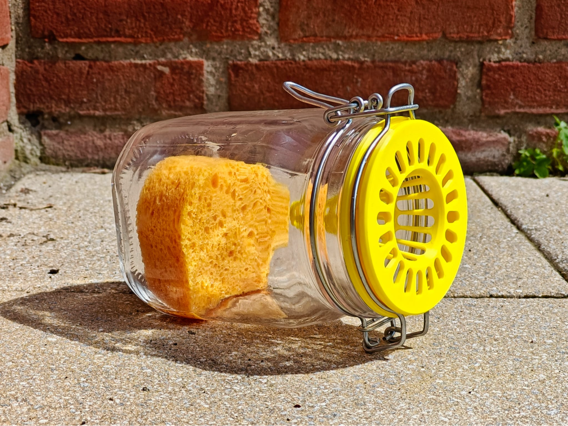 BeeGuard 1 - The Asian Hornet Trap