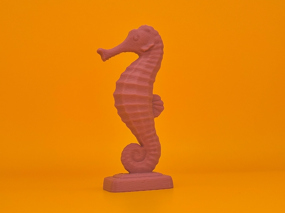 The Sea Animals Series: The Seahorse