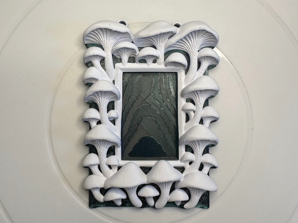 Mushroom Frame