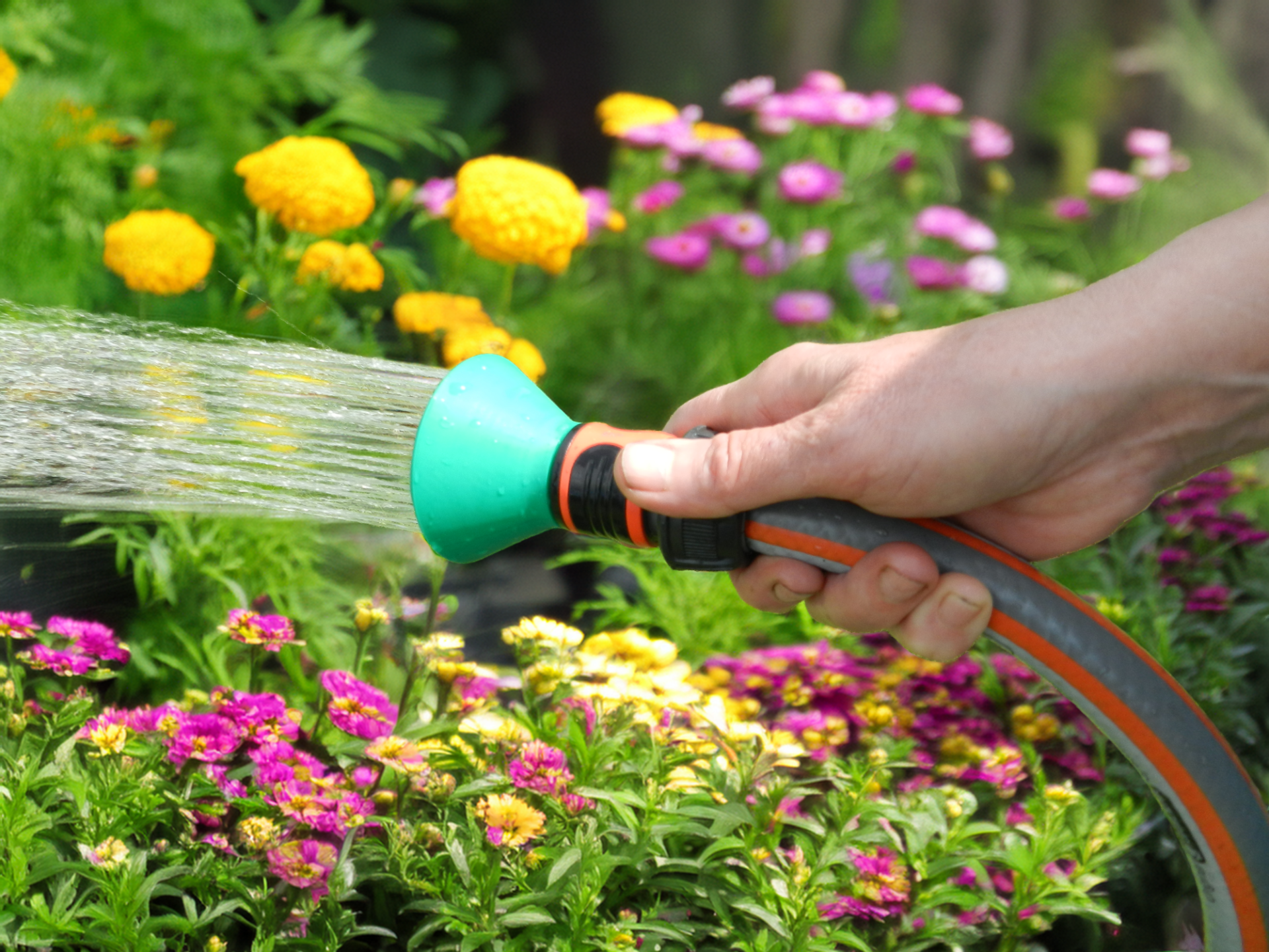 Garden hose sprayer