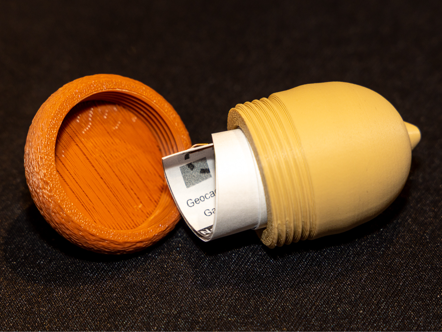 Acorn Geocache