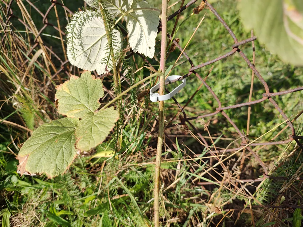Plant Clip