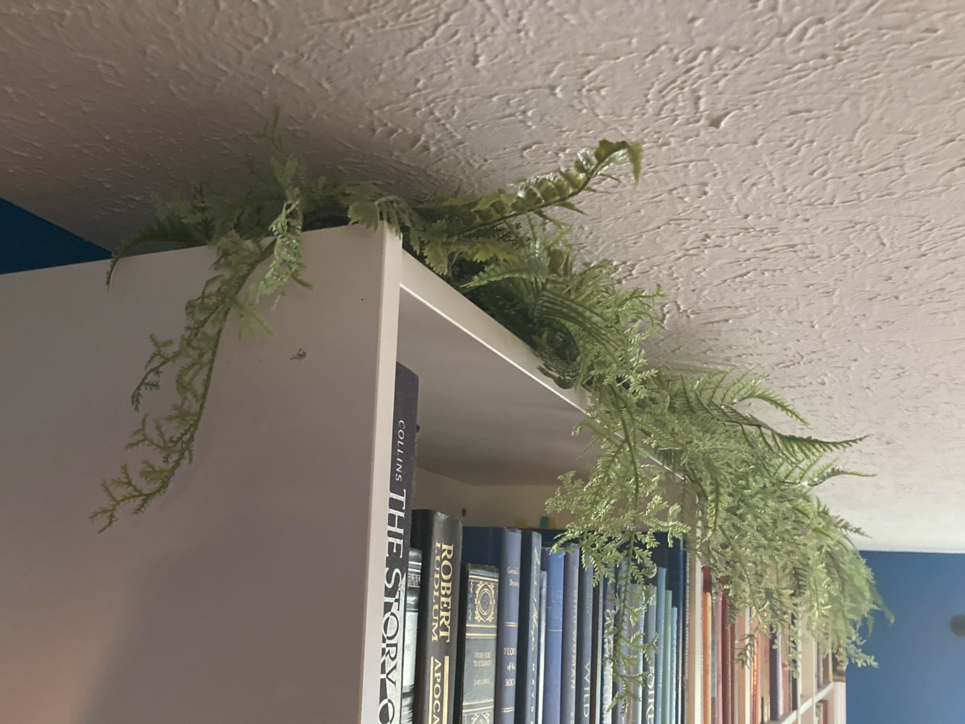 Ikea Billy Bookcase Top Plant/Garland Hook
