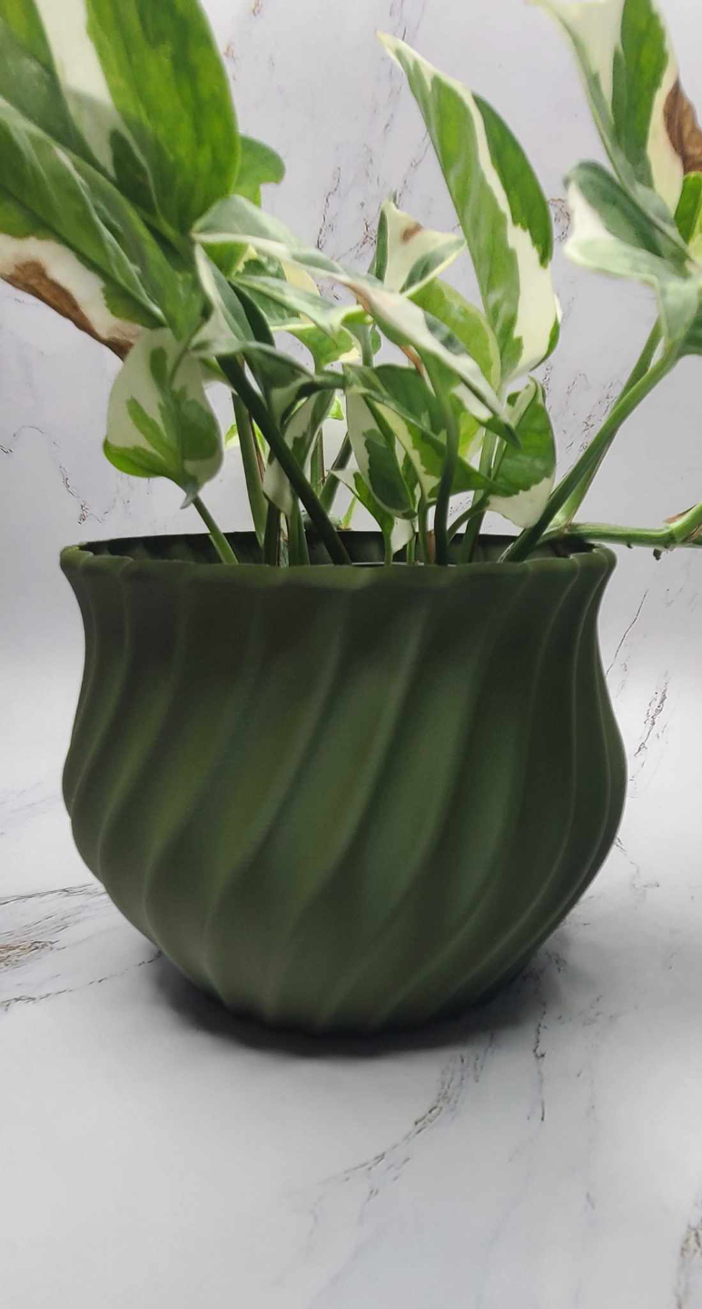 Bloom Haven Vase