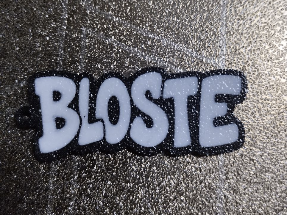 LLAVERO BLOSTE