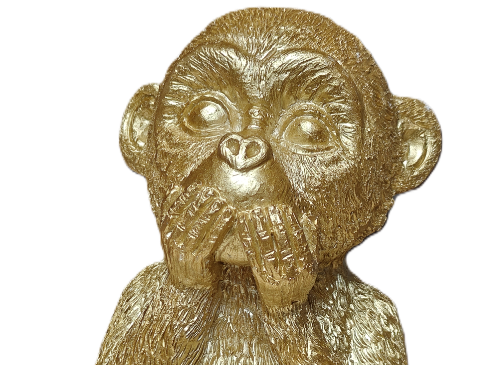 Speak no evil