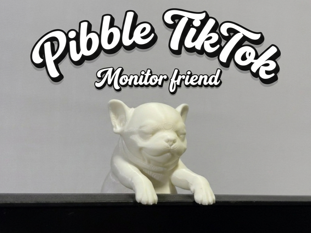 Pibble TikTok monitor friend