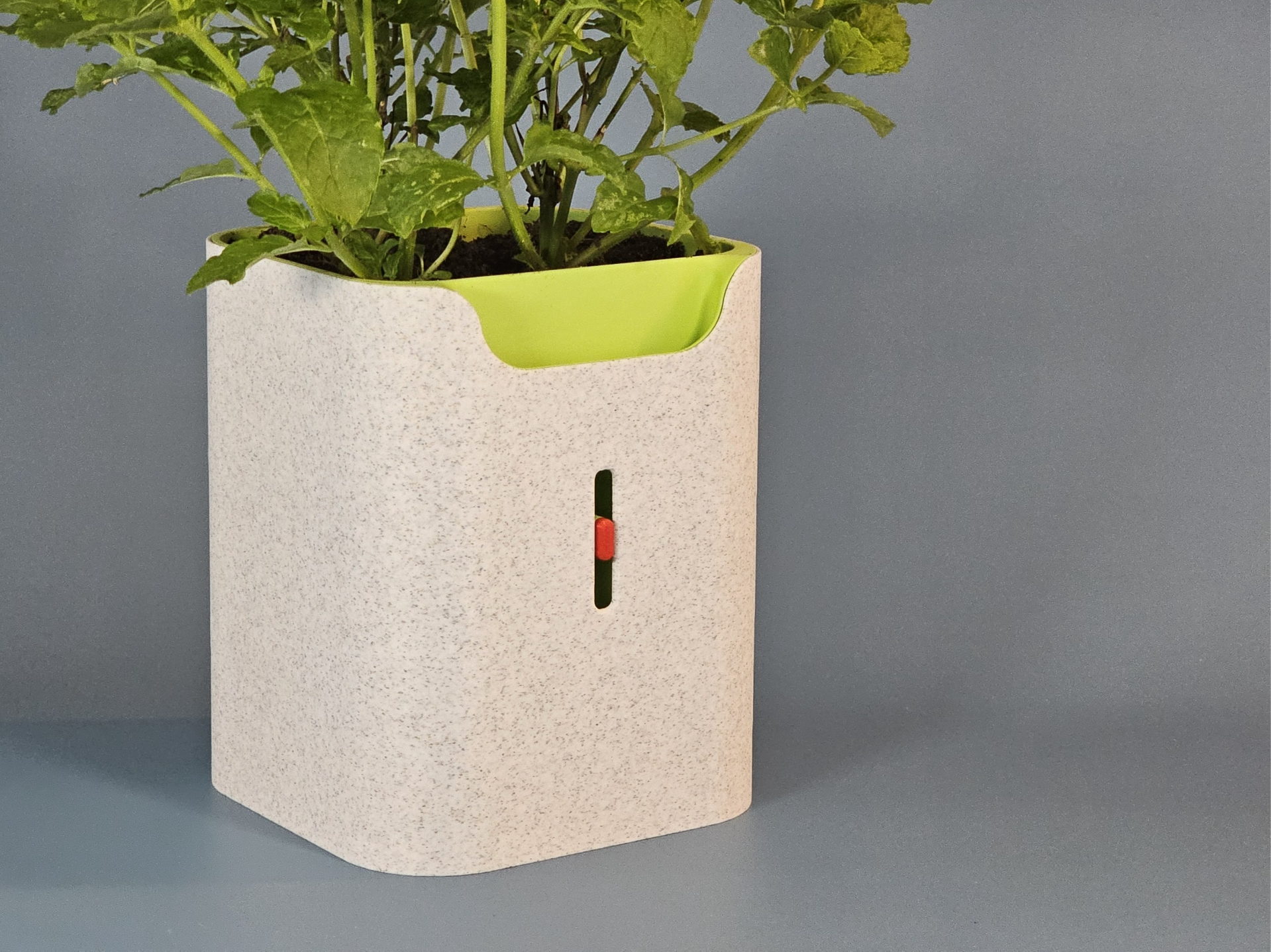 Selfwatering Planter