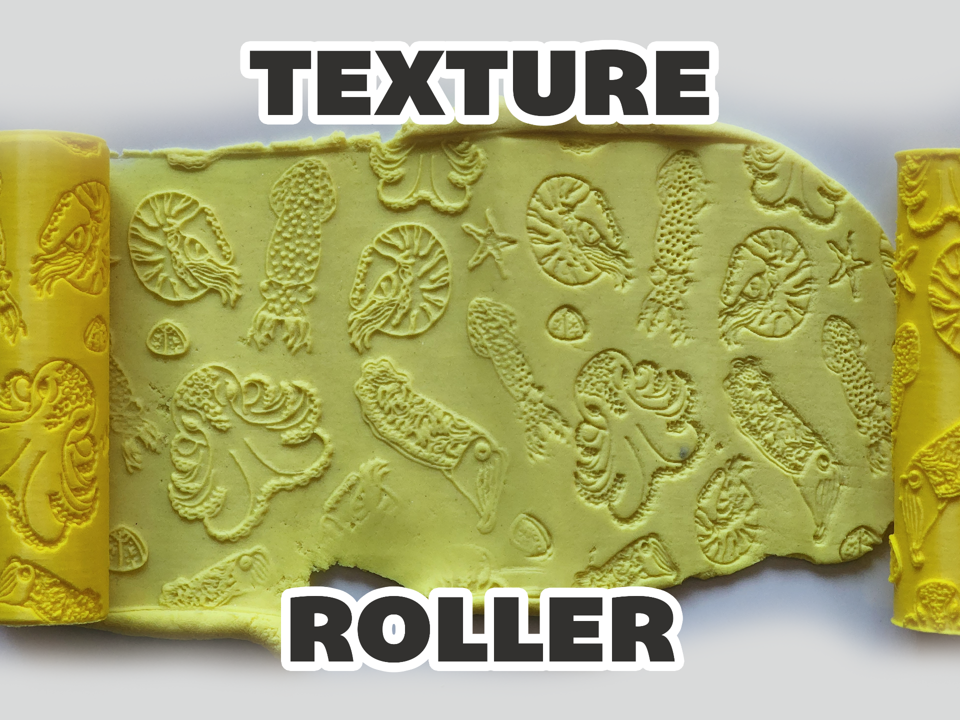 Texture Roller V174 | Cephalopods