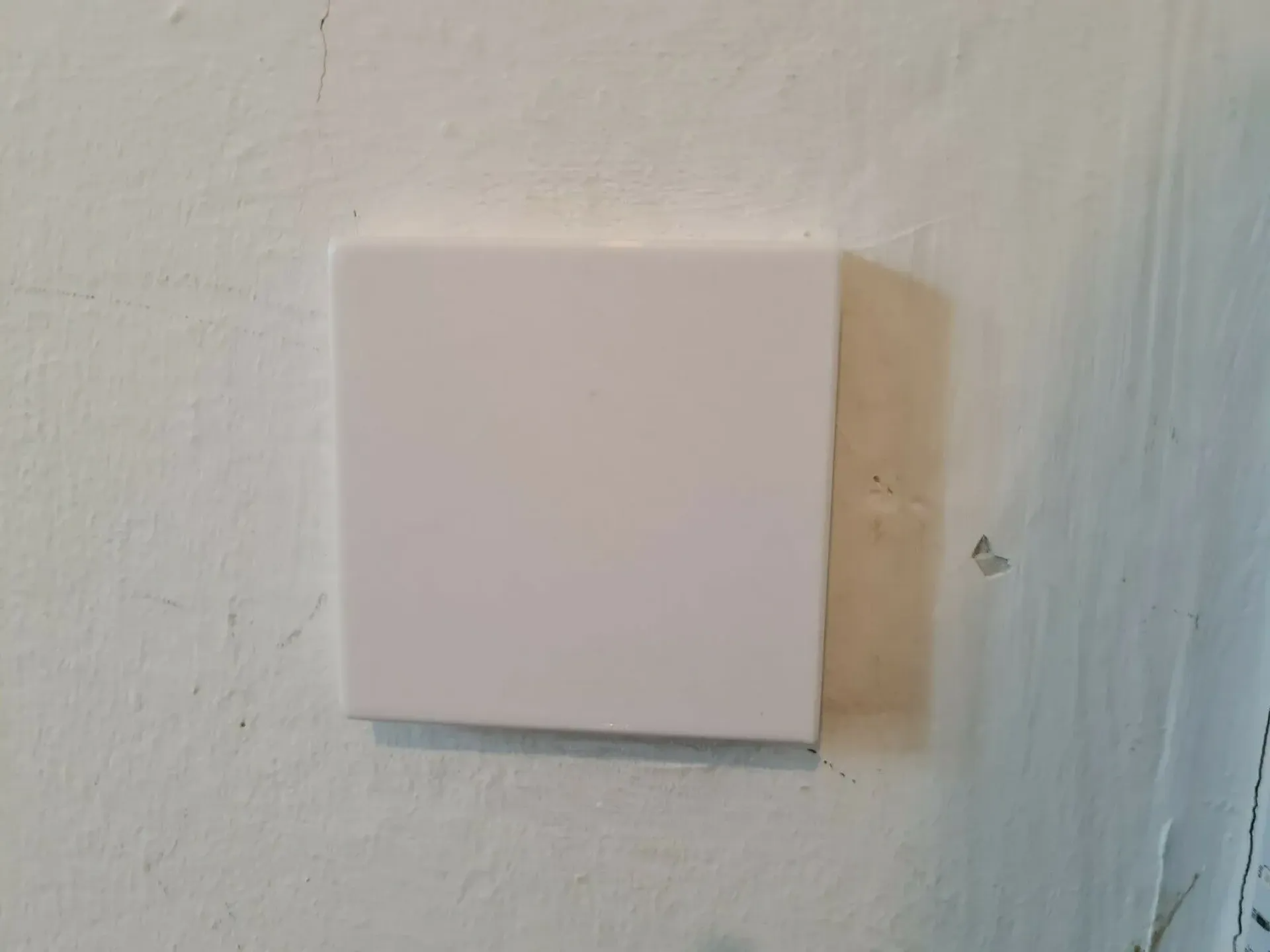 Lightswitch Cover for Smarthome