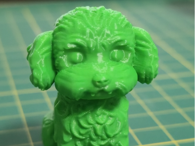 Fluffy pup