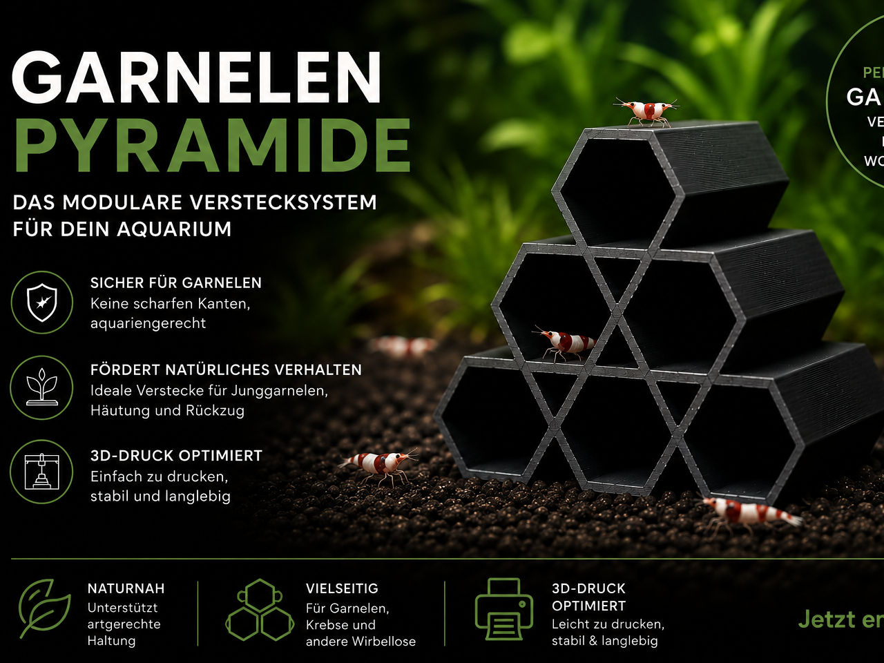 Garnelen Pyramide – Hexagonale Shrimp Cave