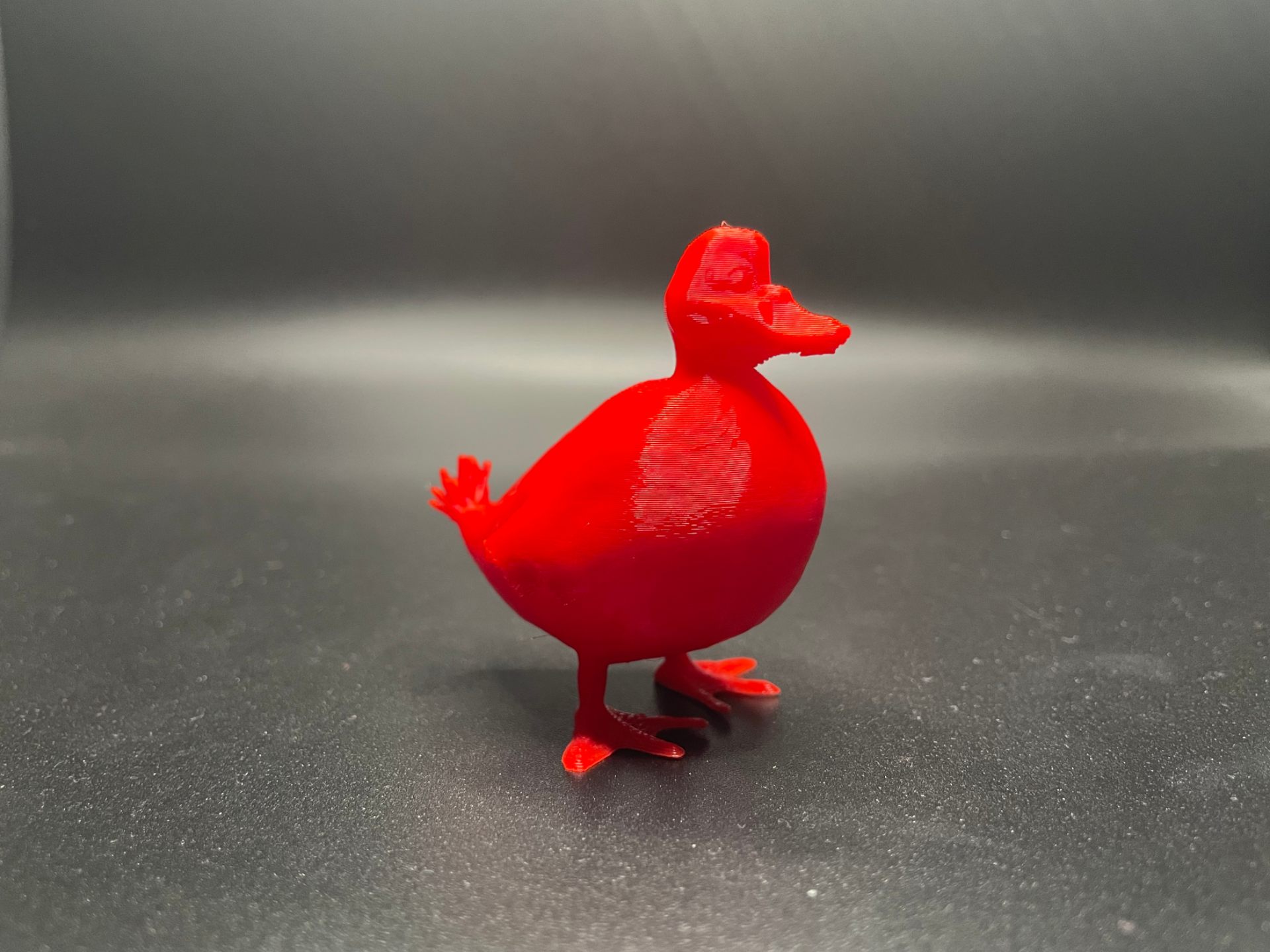 Big Ugly Duck
