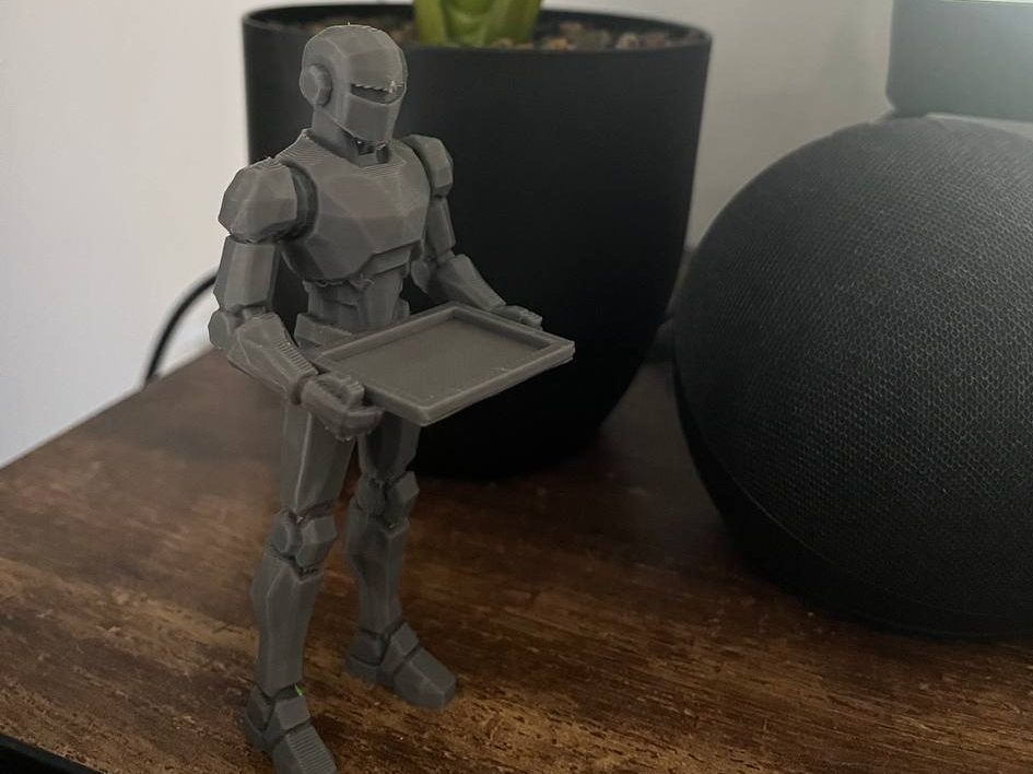 servant robot with tray