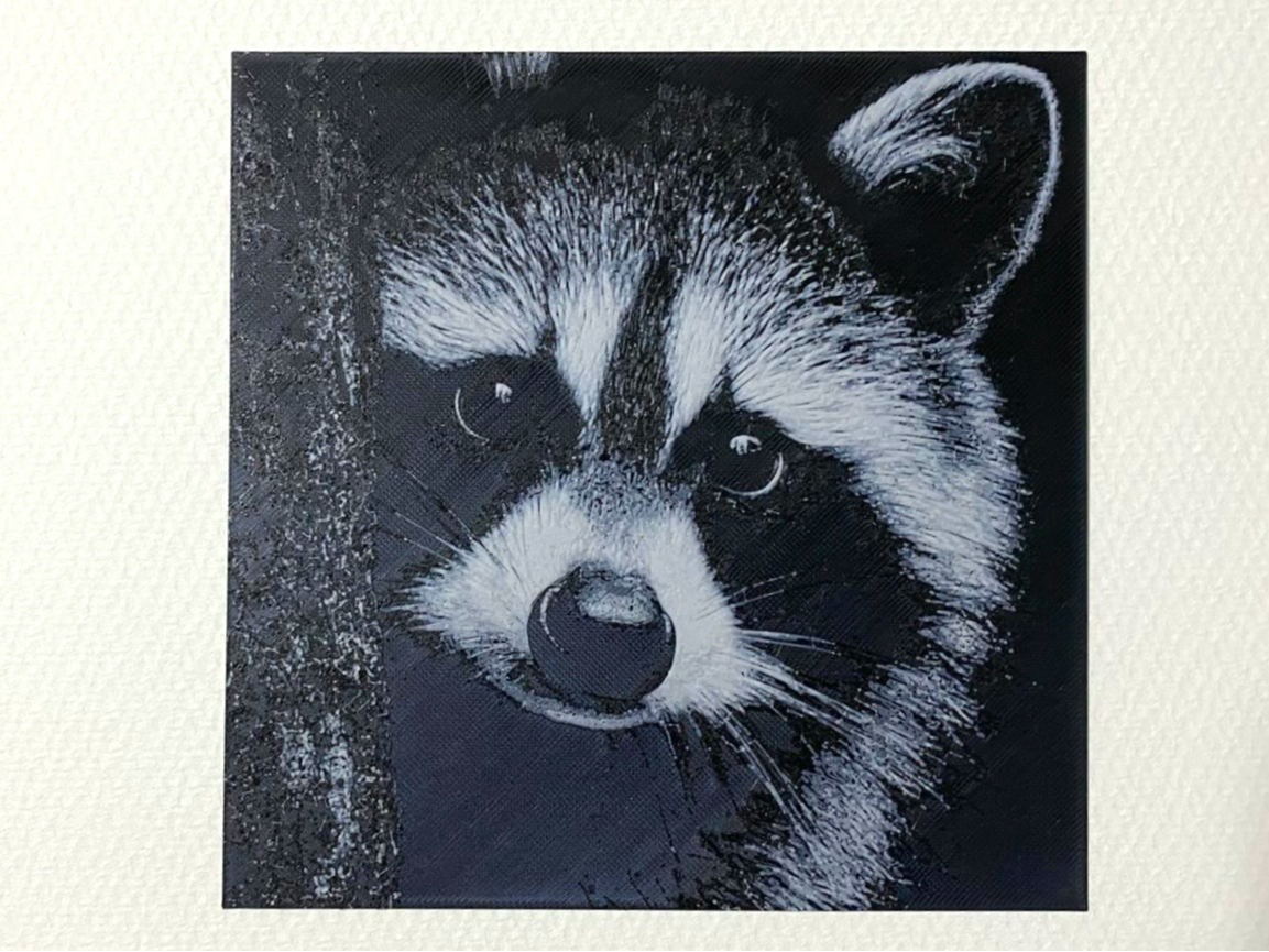 Raccoon in the dark HueForge